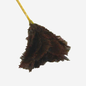 Feather Duster (Prices From)