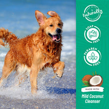 TropiClean Berry & Coconut Deep Cleansing Dog & Cat Shampoo 355ml