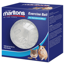 Marltons Hamster Play Ball (17cm)