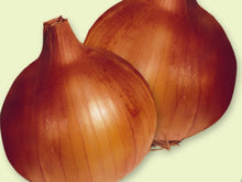 Australian Brown Intermediate Onion Seeds (Prices From)