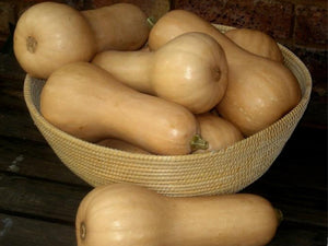 Cosmos Butternut Squash Seeds (Prices From)