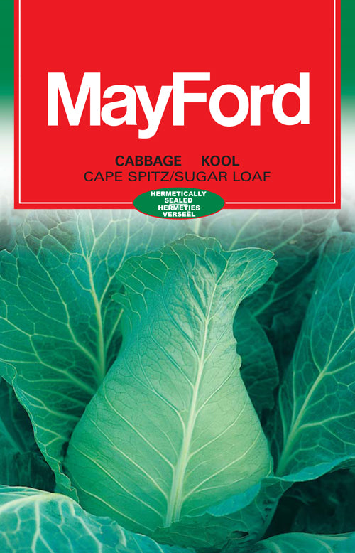 Cape Spitz White Pointed - Early Cabbage Seeds (Prices From)