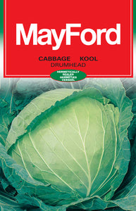 Drumhead White Round - Medium Cabbage Seeds (Prices From)