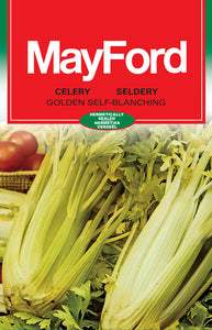 Golden Self-Blanching Celery Seeds (Prices From)