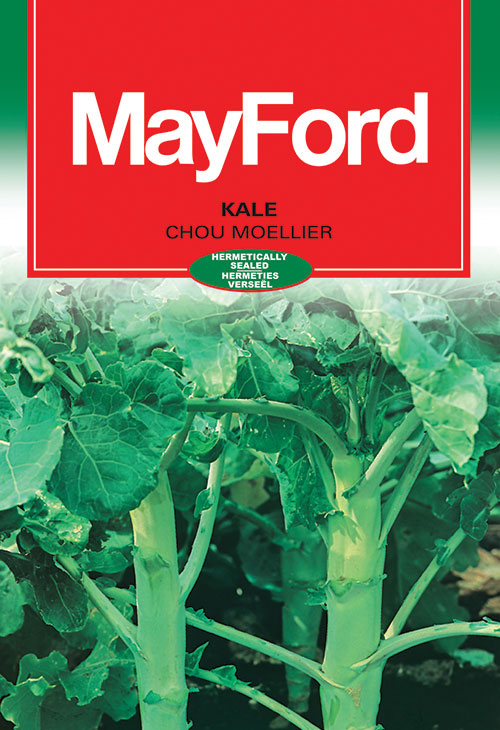 Chou Moellier Kale Seeds (Prices From)