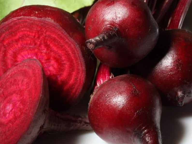Crimson Globe Round Red Beet Seeds (Prices From)