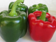 Double Up Sweet Blocky Red Pepper Seeds (Prices From)