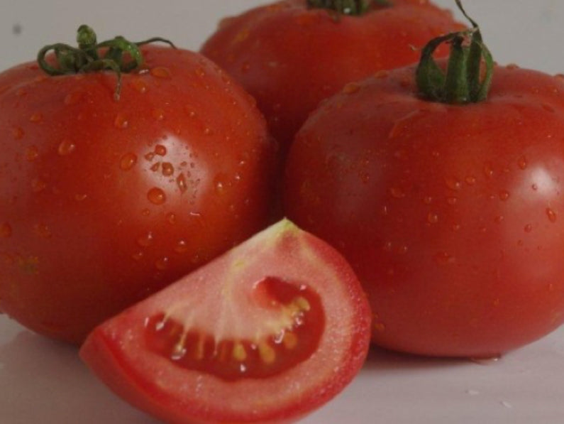 Durene Indeterminate - Salad Tomato Seeds (Prices From)