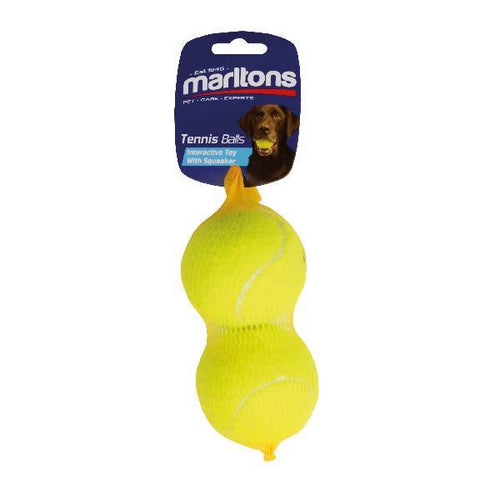 2 Pack Squeaky Tennis Ball - Medium