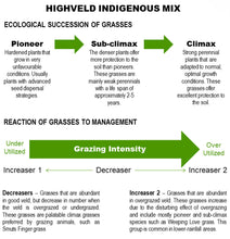 Indigenous Grass Mix 10kg