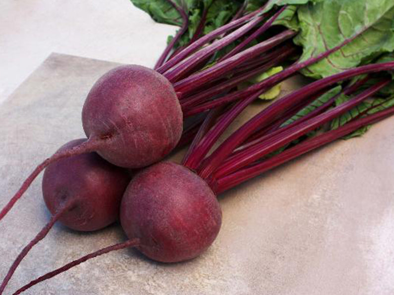 Kestrel F1 Round Red Beet Seeds (Prices From)