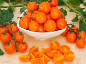 Lyric Indeterminate Speciality - Orange Cherry Tomato Seeds (1 000 Seeds)