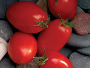Mariana Determinate - Saladette Tomato Seeds (Prices From)