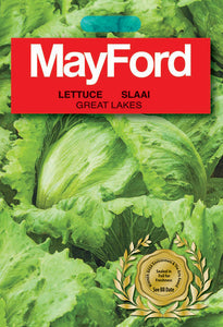 Great Lakes Iceberg Lettuce Seeds (Prices From)
