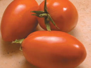 Muriel Determinate - Saladette Tomato Seeds (Prices From)