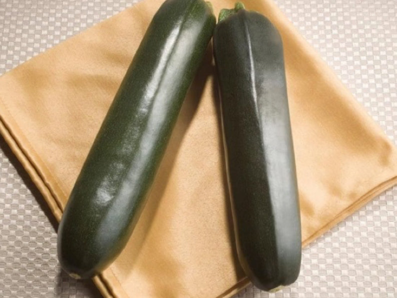 Northern Star Zucchini Squash Seeds (Prices From)