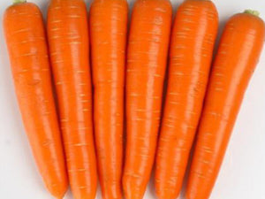Nativa Berlicum Carrot Seeds (Prices From)