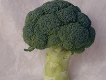 Parthenon Broccoli Seeds (Prices From)