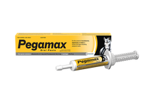 Pegamax Paste 32.4g