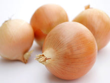 Advance Intermediate Onion Seeds (Prices From)