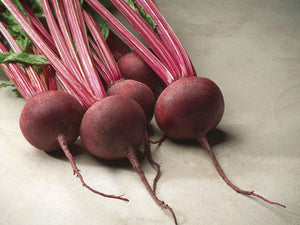 Red Ace F1 Round Red Beet Seeds (Prices From)