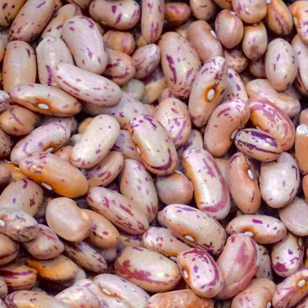 Red Speckled Sugar Beans. (Prices From)
