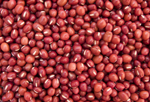 Sorghum- Gluten Free. (Prices From)