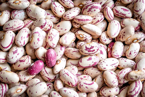 Cranberry Beans (Prices From)