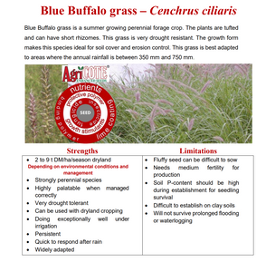 Blue Buffalo Grass (Coated ) 20kg