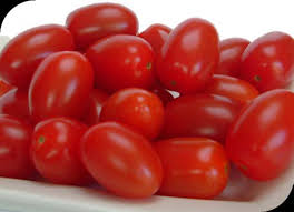 Tinker Indeterminate Speciality - Mini Plum Red Tomato Seeds (Prices From)