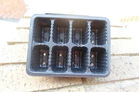 8 Cavity Seedling Tray (250)