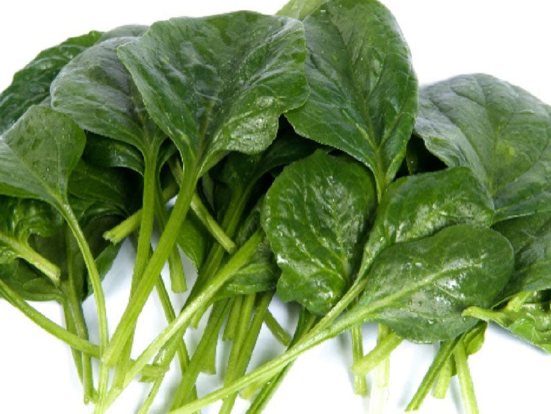 Helios Spinach Seeds (Prices From)