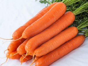Javelin F1 Hybrid Carrot (Prices From)