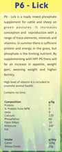 Lick P6 Phosphate no Diatoms Meal 25kg
