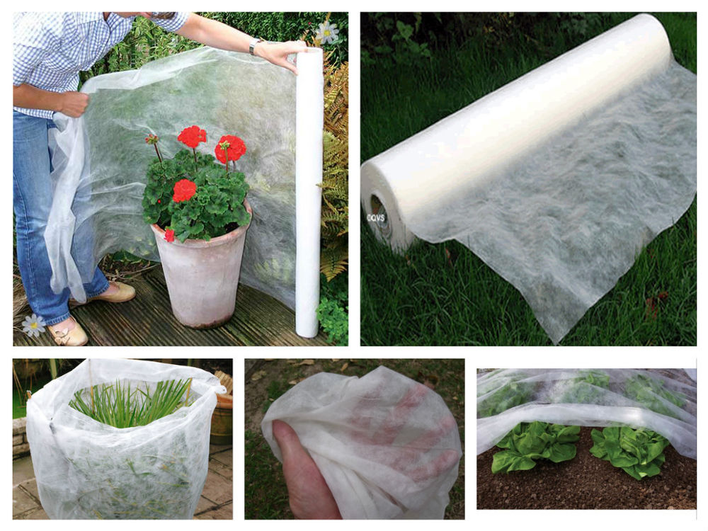 Plant Blanket Roll (Prices from)